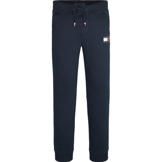 TOMMY HILFIGER Logo KB0KB07892 Sweat Pants