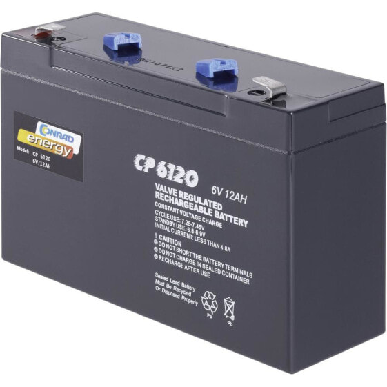 Conrad Energy Conrad 250153 - Rechargeable battery - Sealed Lead Acid (VRLA) - 6 V - 12000 mAh - Black - 151 mm