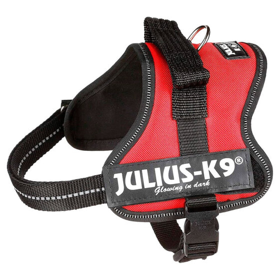 Шлейка для собак JULIUS K-9 Power Mini