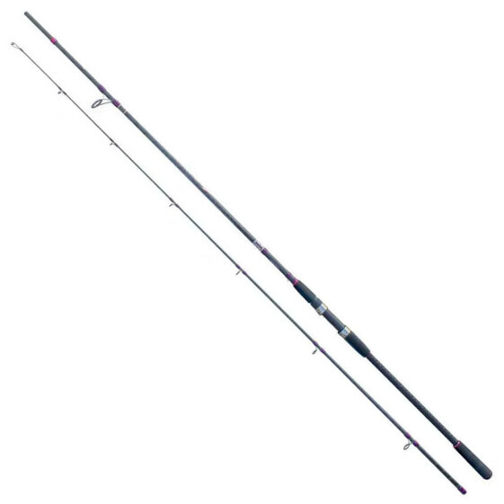 CINNETIC Explorer Black Sea Bass spinning rod