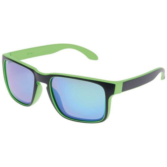 HART XHGF18G Polarized Sunglasses