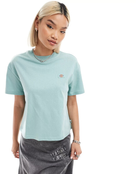 Dickies oakport boxy cropped t-shirt in blue