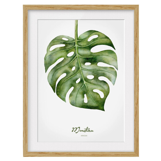 Bild Aquarell Botanik Monstera IV