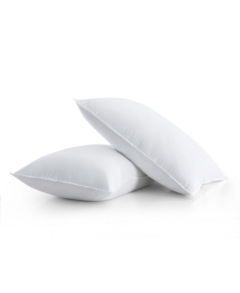 2 Piece Bed Pillows, Standard/Queen