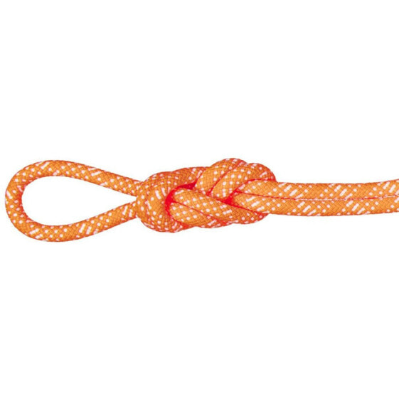 MAMMUT Gym Station Classic 10.1 mm Rope