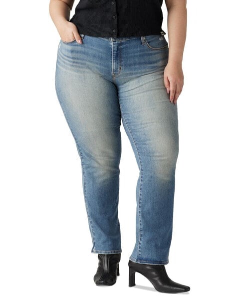 Plus Size Classic Mid-Rise Straight-Leg Jeans