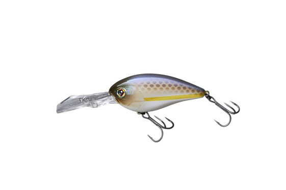 Jackall DIGLE Crankbaits (JDIG5-CS) Fishing