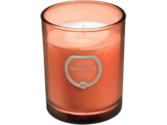 Scented candle Olymp copper Intense glitter Exquisite Sparkle (Candle) 180 g