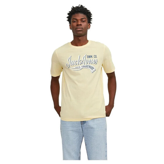 JACK & JONES Logo 2 Col short sleeve T-shirt