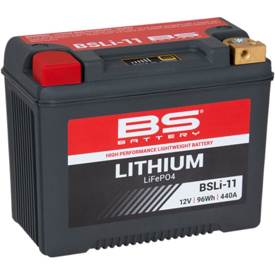 BS BATTERY Lithium - BSLI-11 Battery 12V