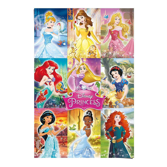 Poster Disney`s Prinzessinnen