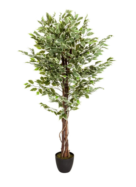 Искусственный цветок hjh OFFICE FICUS