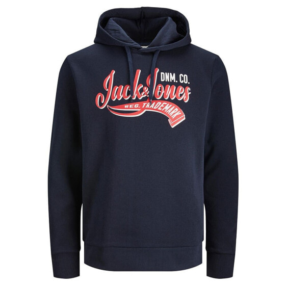 JACK & JONES Logo 2 Col 23/24 hoodie