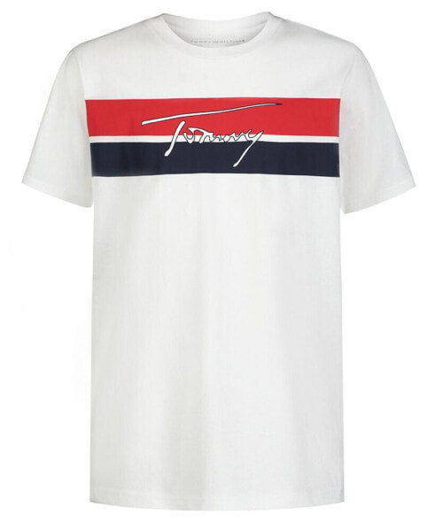 Футболка Tommy Hilfiger Big Boys Stripe