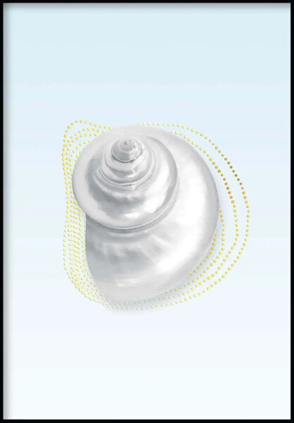 Seashell Poster