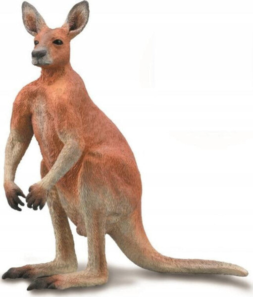 Фигурка Collecta COLLECTA RED KANGAROO MALE CollectA Wildlife Animals (Дикие животные)