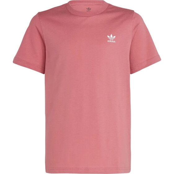 ADIDAS ORIGINALS Adicolor short sleeve T-shirt