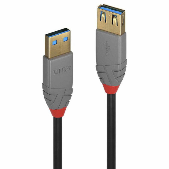 LINDY LINDY-36760 50 cm USB-A Extension Cable