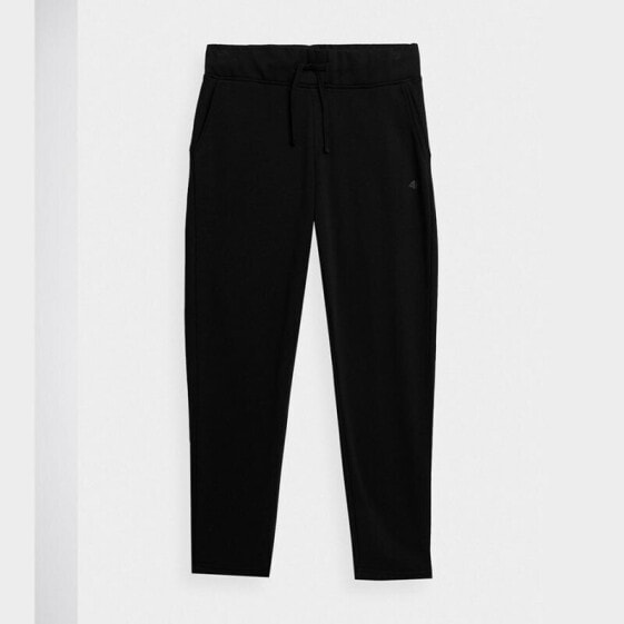 Trousers 4F W 4FSS23TTROF149 20S