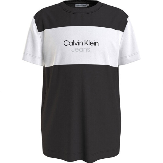 Футболка мужская Calvin Klein Jeans с коротким рукавом Color Block