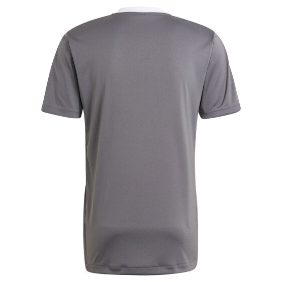 ADIDAS Tiro 21 Training 3´´ short sleeve T-shirt