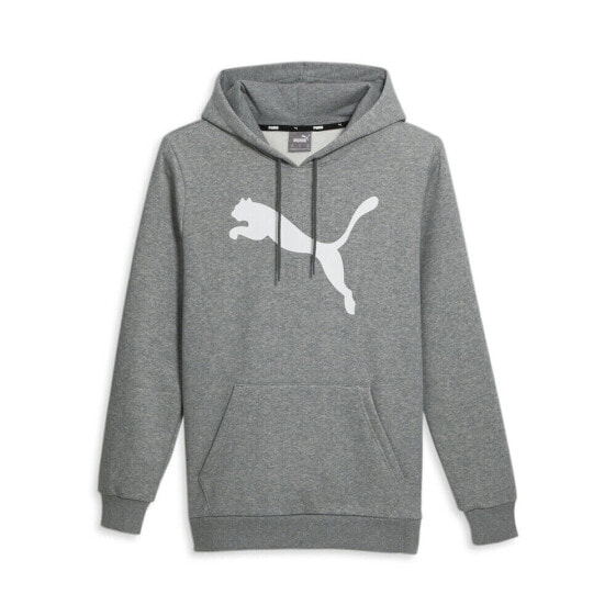 Puma Cat Logo Pullover Hoodie Mens Grey Casual Outerwear 67271203
