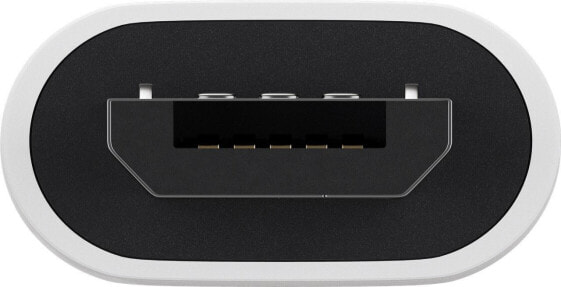 Wentronic 55550 - USB Micro B - USB C - White