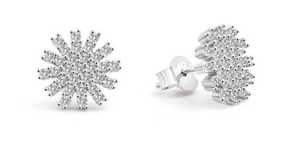 Shiny silver earrings Snowflake AGUP2723