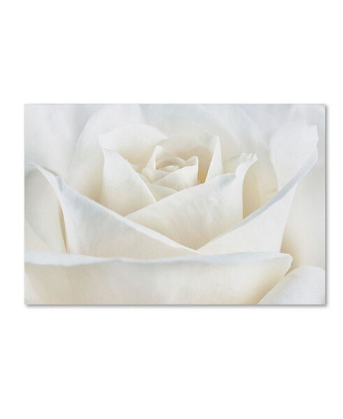 Cora Niele 'Pure White Rose' Canvas Art - 19" x 12" x 2"