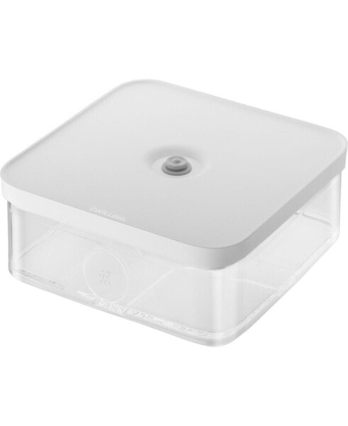 L Fresh Save Cube Container