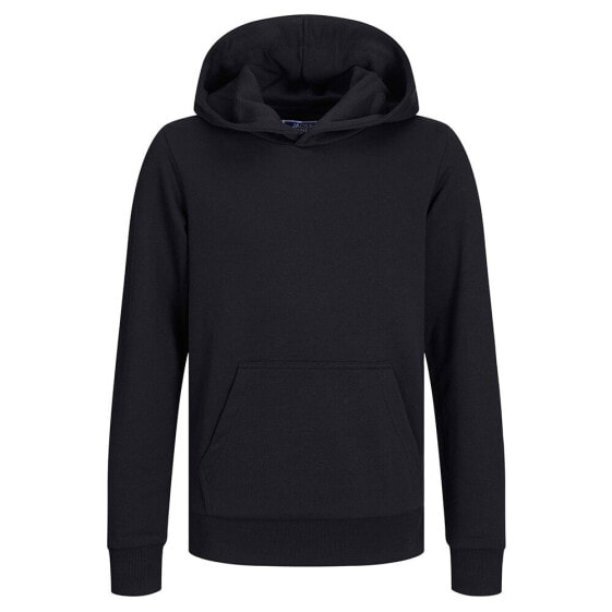 JACK & JONES Bradley hoodie