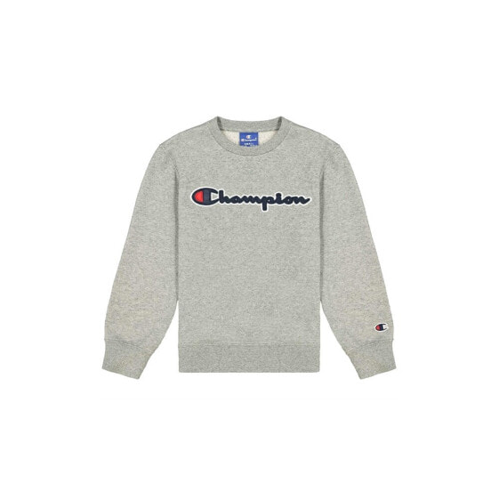 Champion Crewneck Sweatshirt