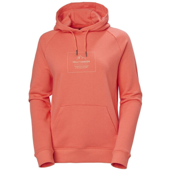 Helly Hansen F2F Cotton Hoodie