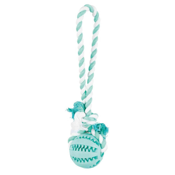 TRIXIE Denta Fun Playing Rope With Ball 24 cm