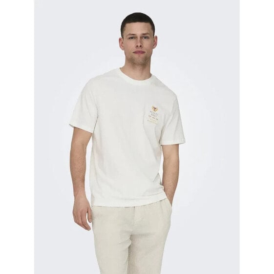 ONLY & SONS Manuel Life short sleeve T-shirt