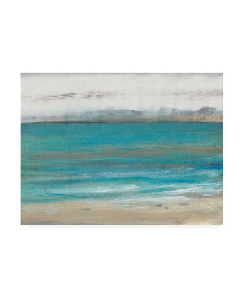 Tim O'Toole Seashore I Canvas Art - 27" x 33.5"