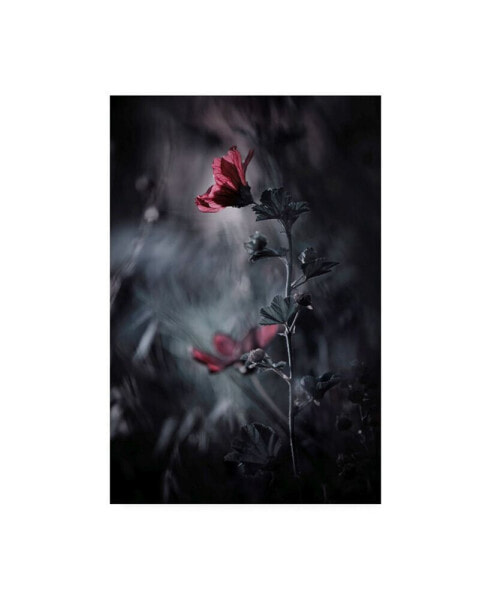 Fabien Bravin Passion Reds Canvas Art - 37" x 49"