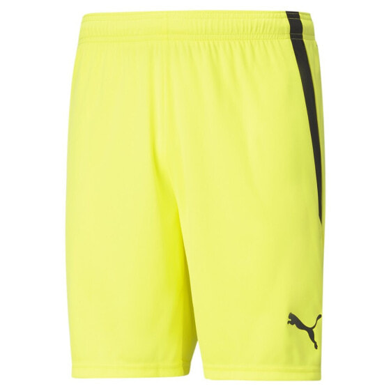 PUMA TeamLiga Shorts