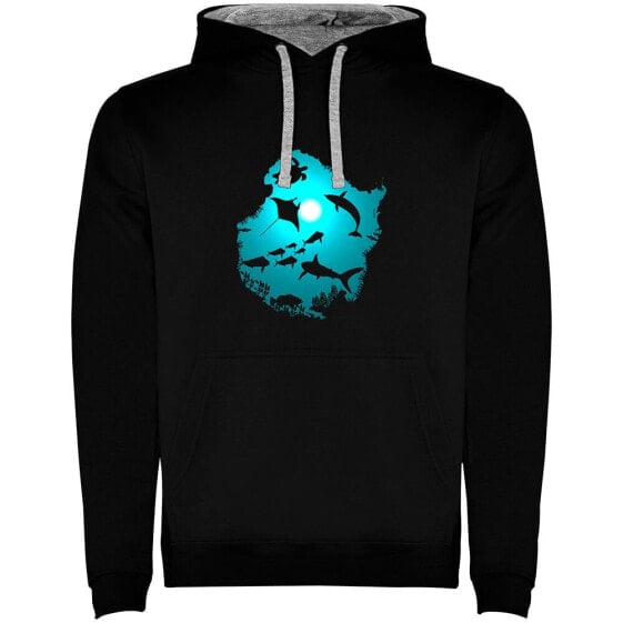 KRUSKIS Underwater Dream Two-Colour hoodie