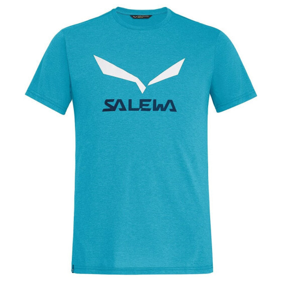 Футболка мужская Salewa Solidlogo Dri-Release