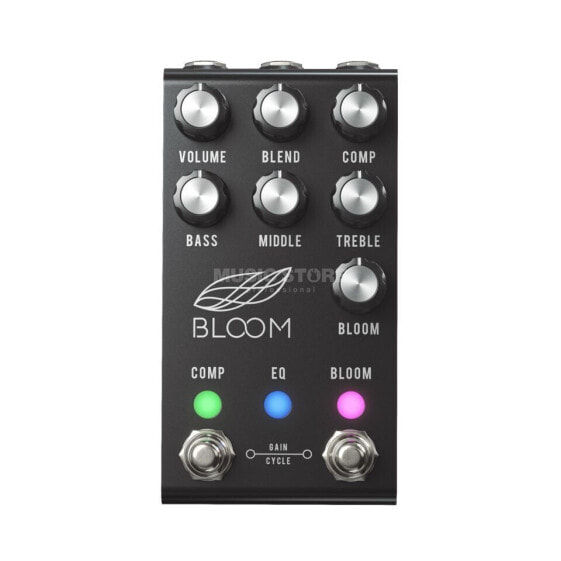 Jackson Audio Bloom V2