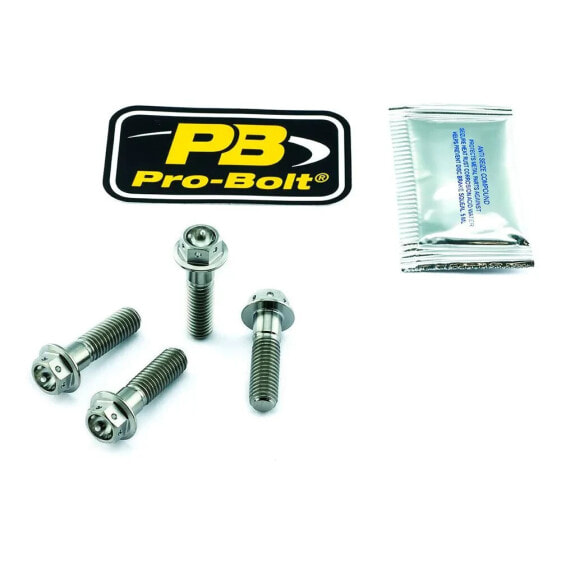 PRO BOLT TIFAPINCH160R Front Wheel Axle Screw