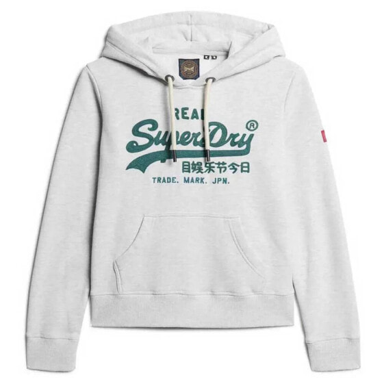 SUPERDRY Embroidered Vl Graphic hoodie