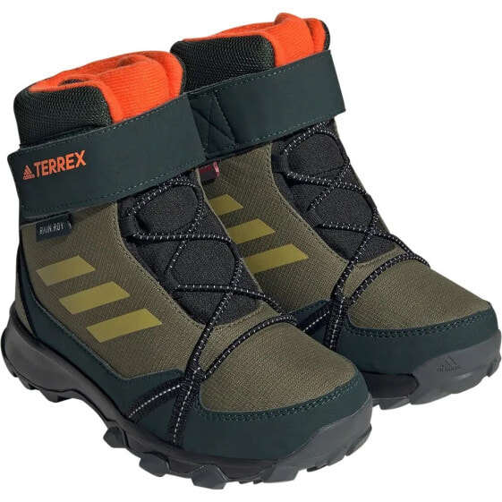 Кроссовки Adidas Terrex Snow CF R.Rdy Hiking