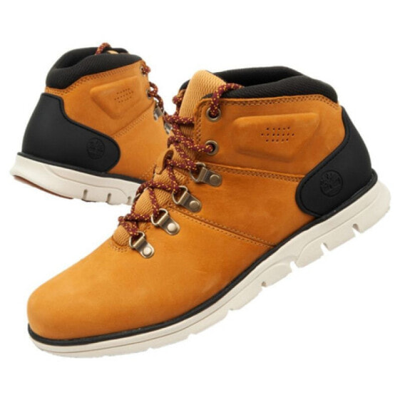 Timberland Bradstreet M TB0A26YZ shoes