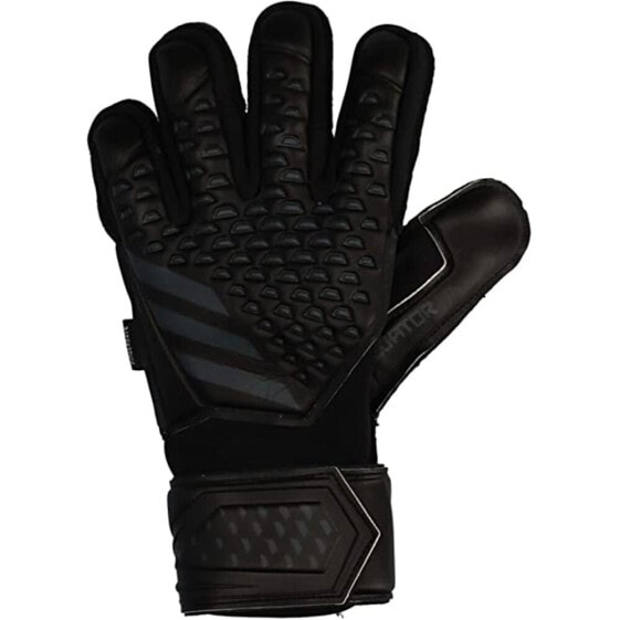 Вратарские перчатки Adidas Predator MTC FS