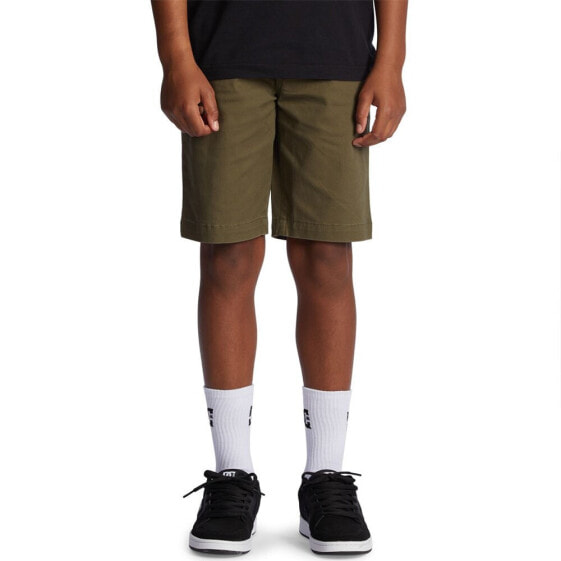 DC SHOES Elx Chns Hoby Shorts