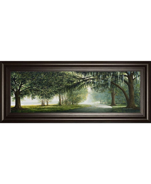 Lake Shore Drive by Bruce Nawrocke Framed Print Wall Art - 18" x 42"