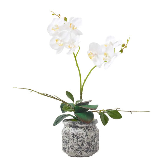 Искусственные цветы Homescapes Künstliche weiß-gelbe Phalaenopsis