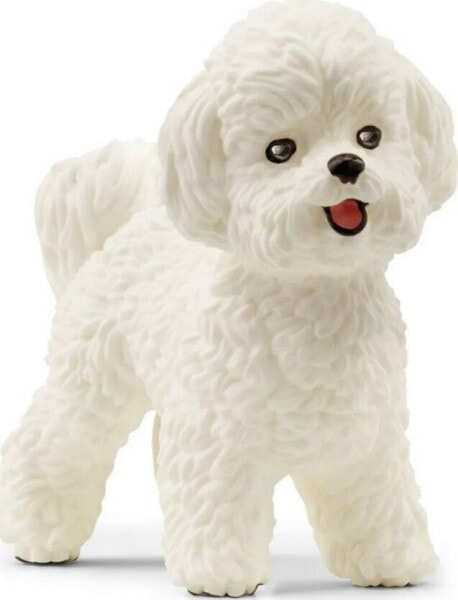 Figurka Schleich Schleich 13963 Pies rasy bichon frise